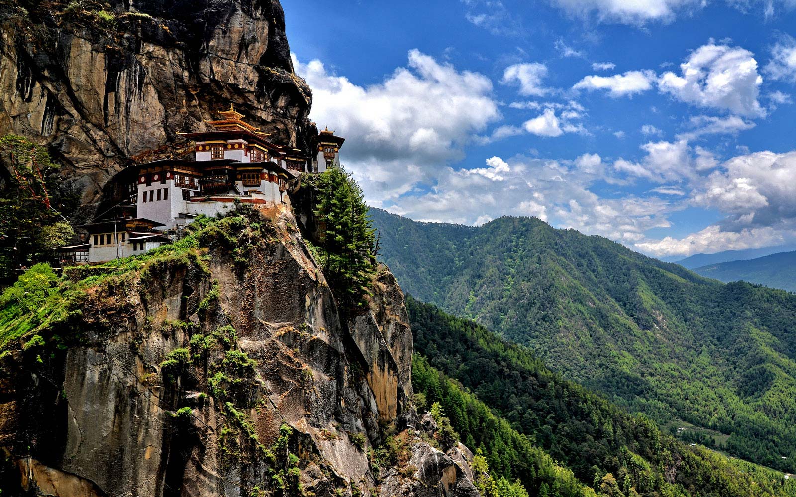 TICK THE TIGER’S NEST OFF THE LIST